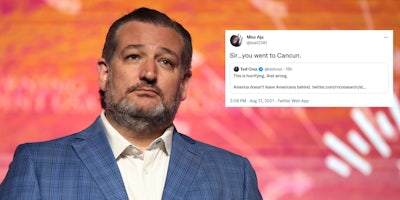 Ted Cruz next to a tweet mocking him for a tweet he made and bringing up Cancun.