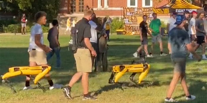 robot dogs walk with students on campus