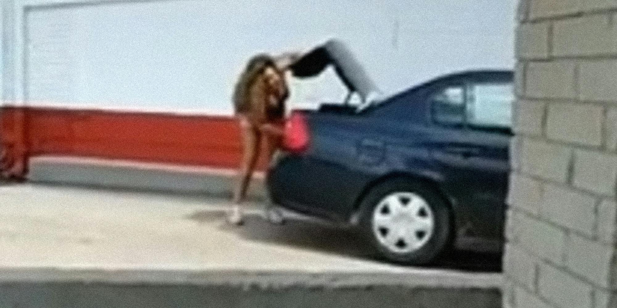 woman yelling into trunk of car while closing it