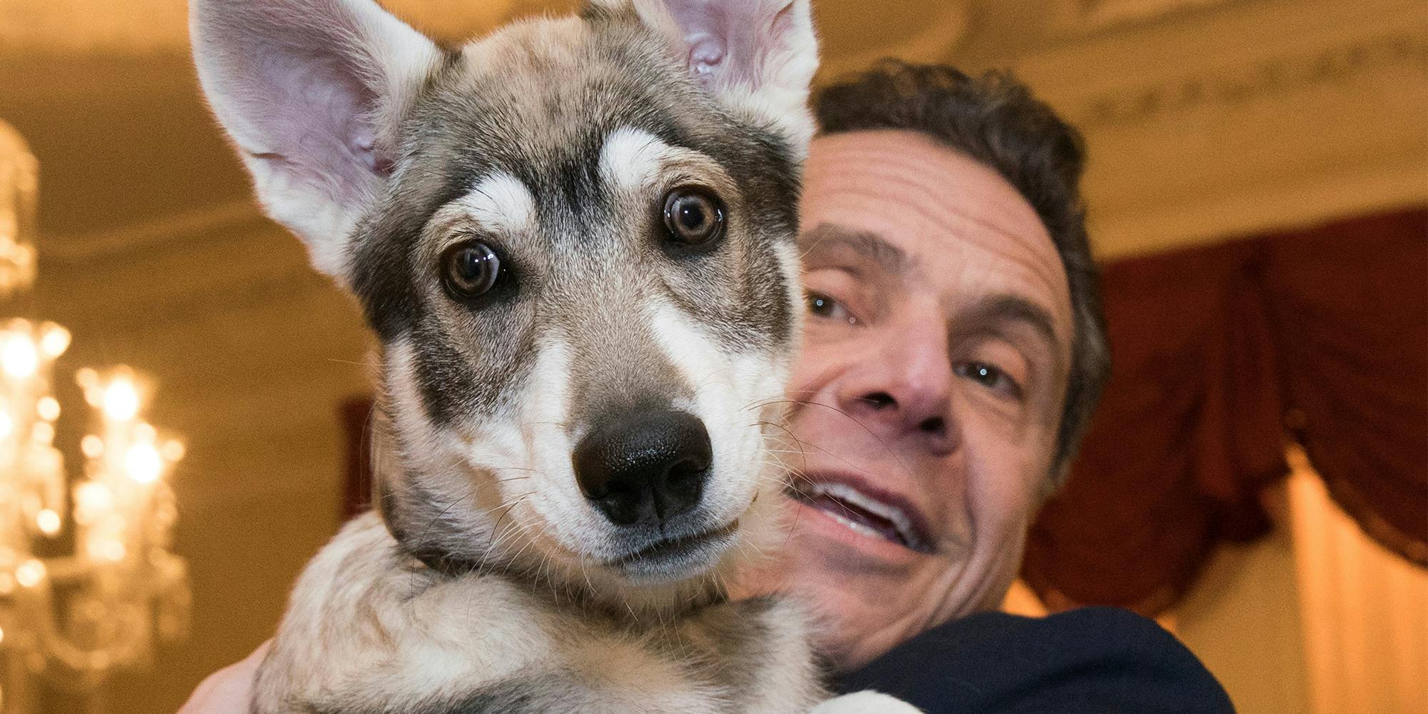 Andrew Cuomo holds dog