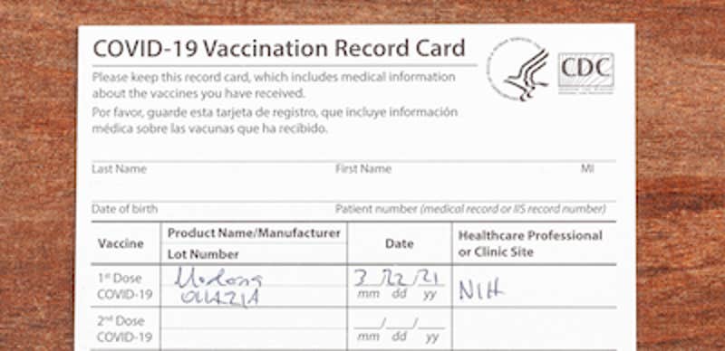 fake vaccine cards