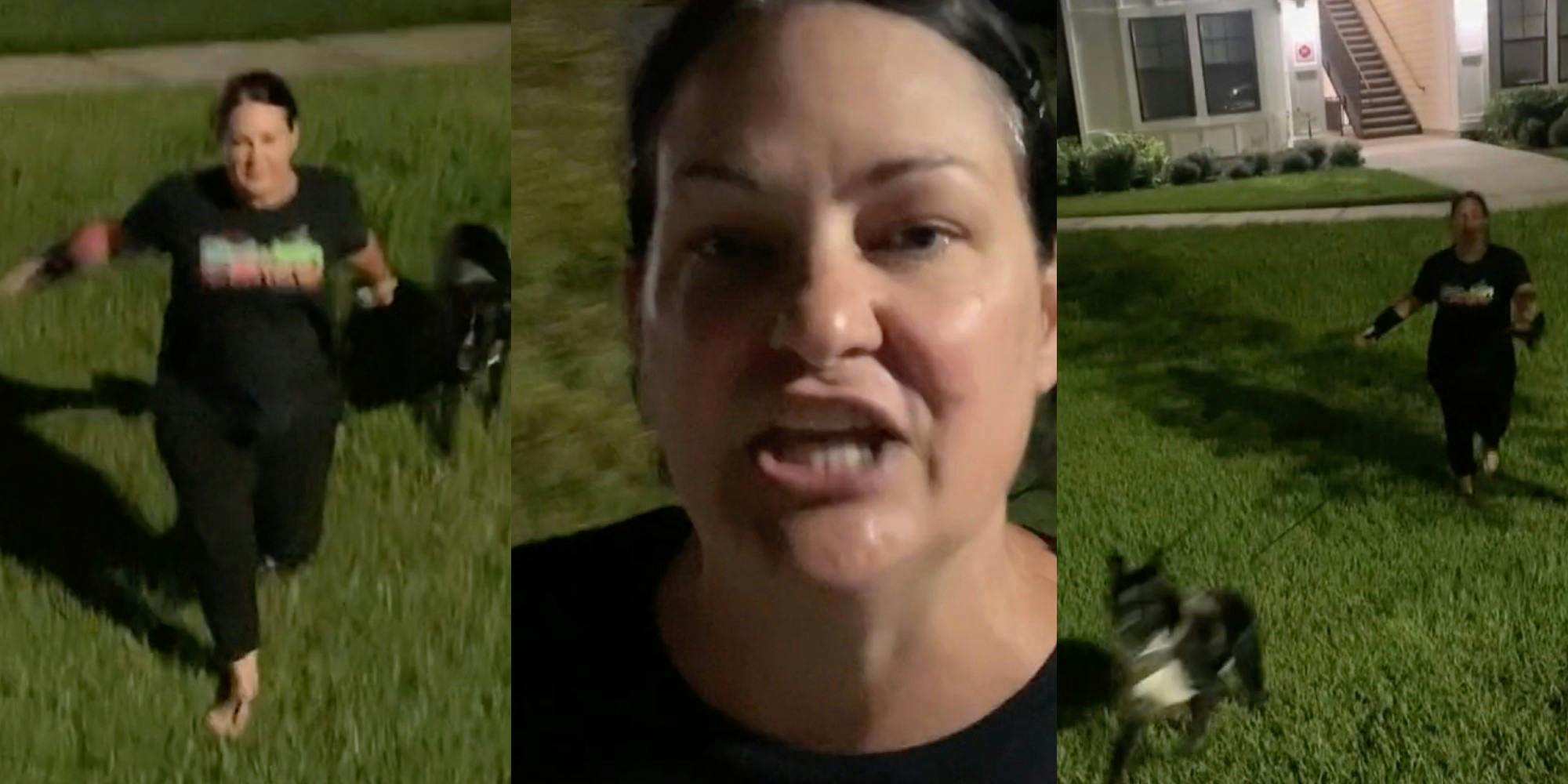 Karen Harrasses Người Hàng Xóm Da đen đi Dạo Con Chó Của Cô ấy Buộc