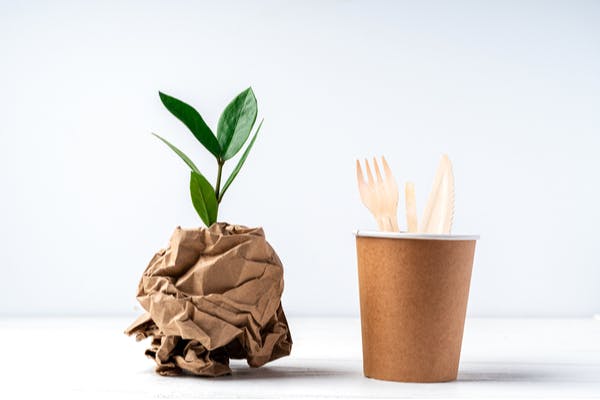 A plant sprouts from a brown paper bag beside a biodegradable cup filled with ecofriendly utensils