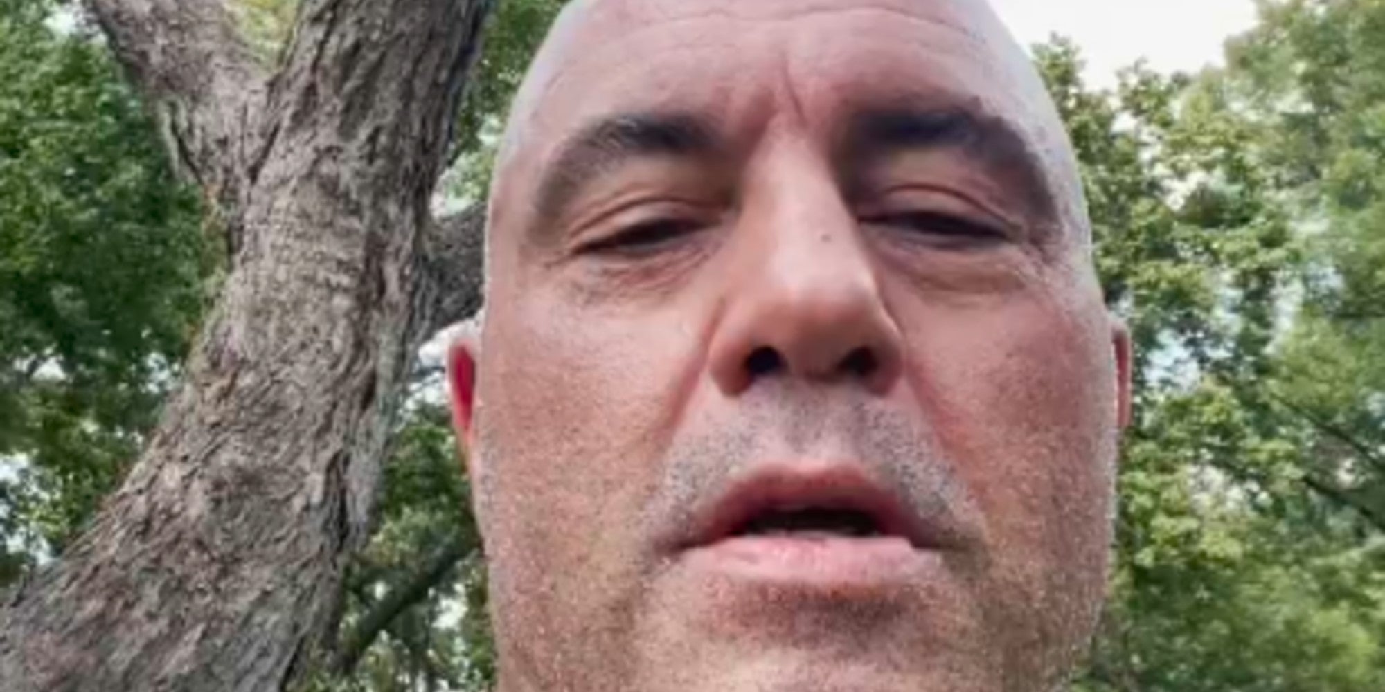 Joe Rogan Says He's Taking Ivermectin To Treat His COVID