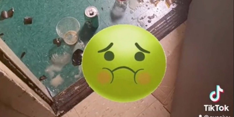 In a TikTok, a man is seen peeing and throwing trash at a woman's apartment door.