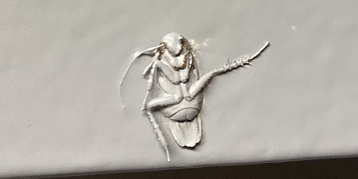 cockroach painted onto wall