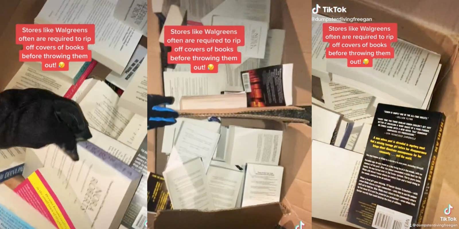 TikToker Exposes Walgreens for Ripping off Book Covers
