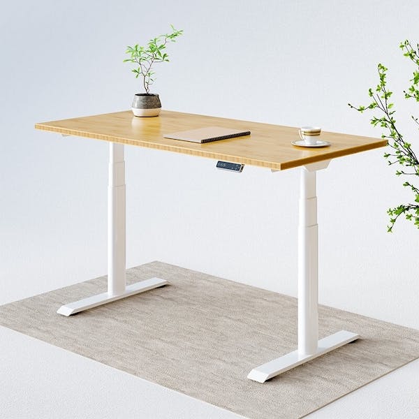 Kana pro bamboo standing desk with potted plants and rug