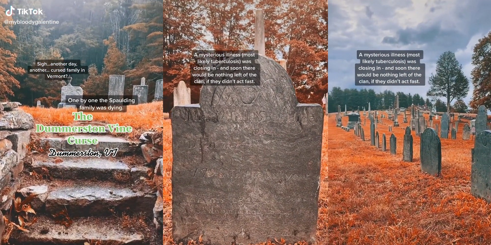 Stone steps leading into graveyard with caption "The Dummerston Vine Curse, Dummerston VT"