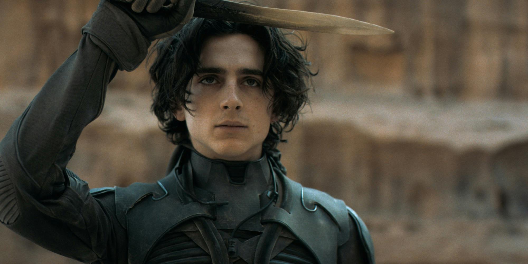 timothee chalamet in dune