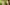 Machine Gun Kelly and Megan Fox in front of cannabis leaf background
