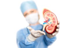 a surgeon holding a kidney
