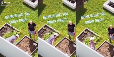 Drone footage of Brian Laundrie's parents' backyard