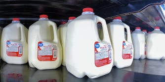 12 Gallons of whole milk