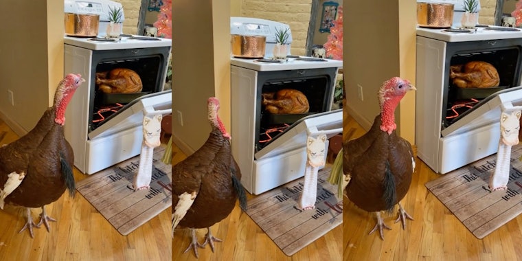 A TikTok that shows a live turkey looking at one baking in an oven.