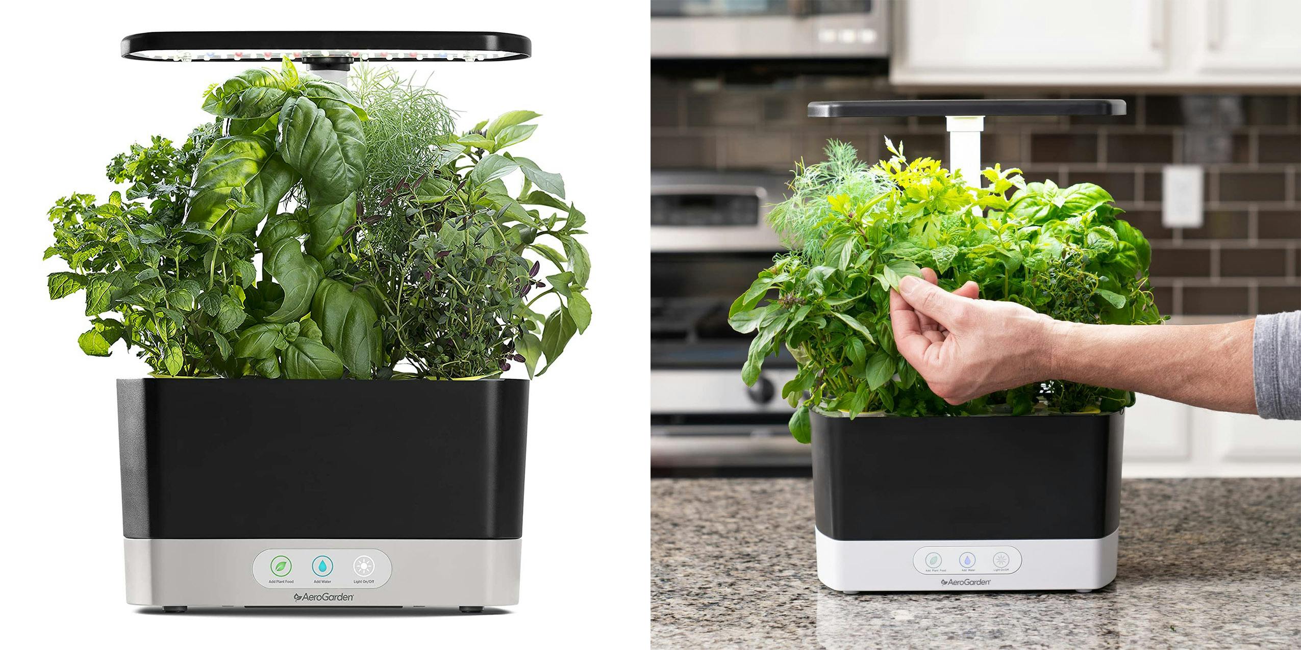An Aerogarden full of herbs in a kitchen is one of the best offerings on this gift guide for moms.