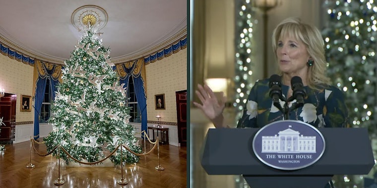 A Christmas tree (L) and Jill Biden (R).