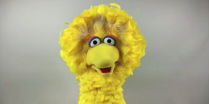 The Sesame Street muppet Big Bird