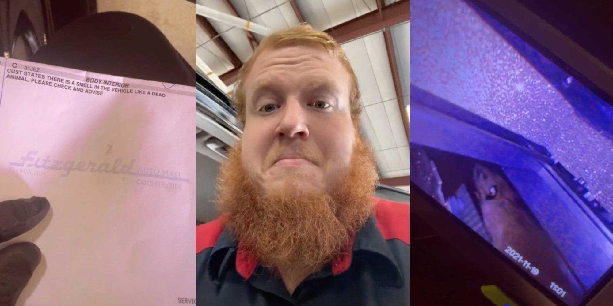 Dealership Worker Makes Horrific Discovery of Dead Rat in a Car A/C