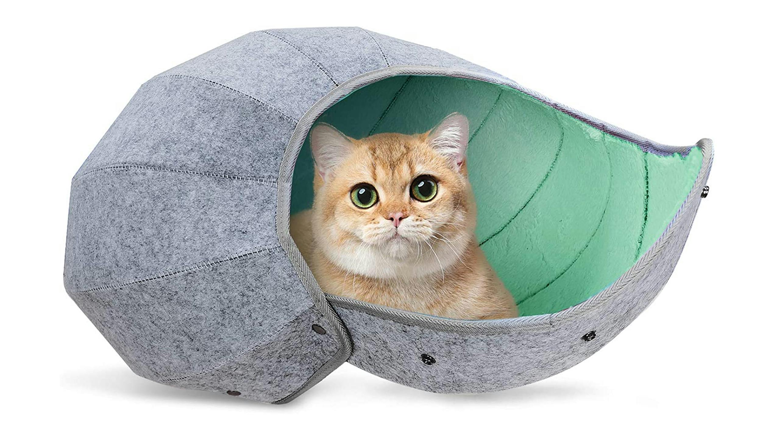 A cat perched inside a leaf cat house toy.