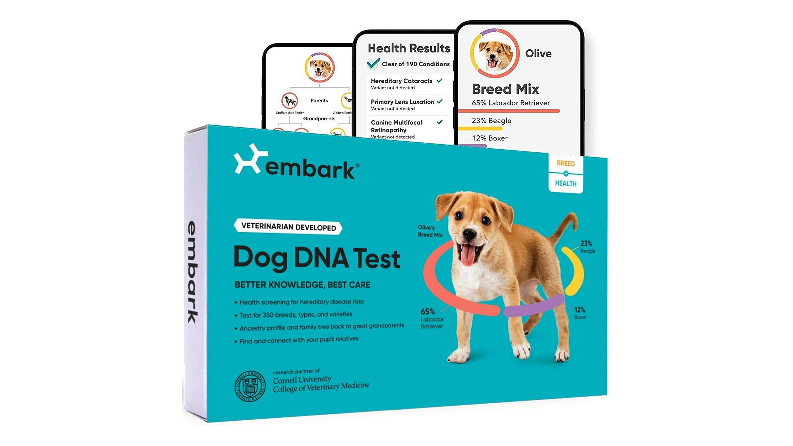 An Embark Dog DNA product image, our top gift for pet owners