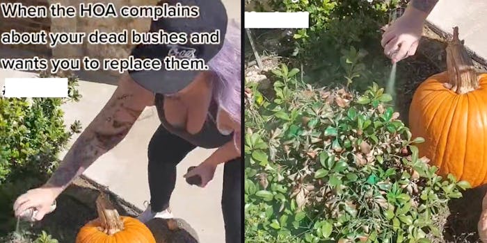 woman spray painting bushes green