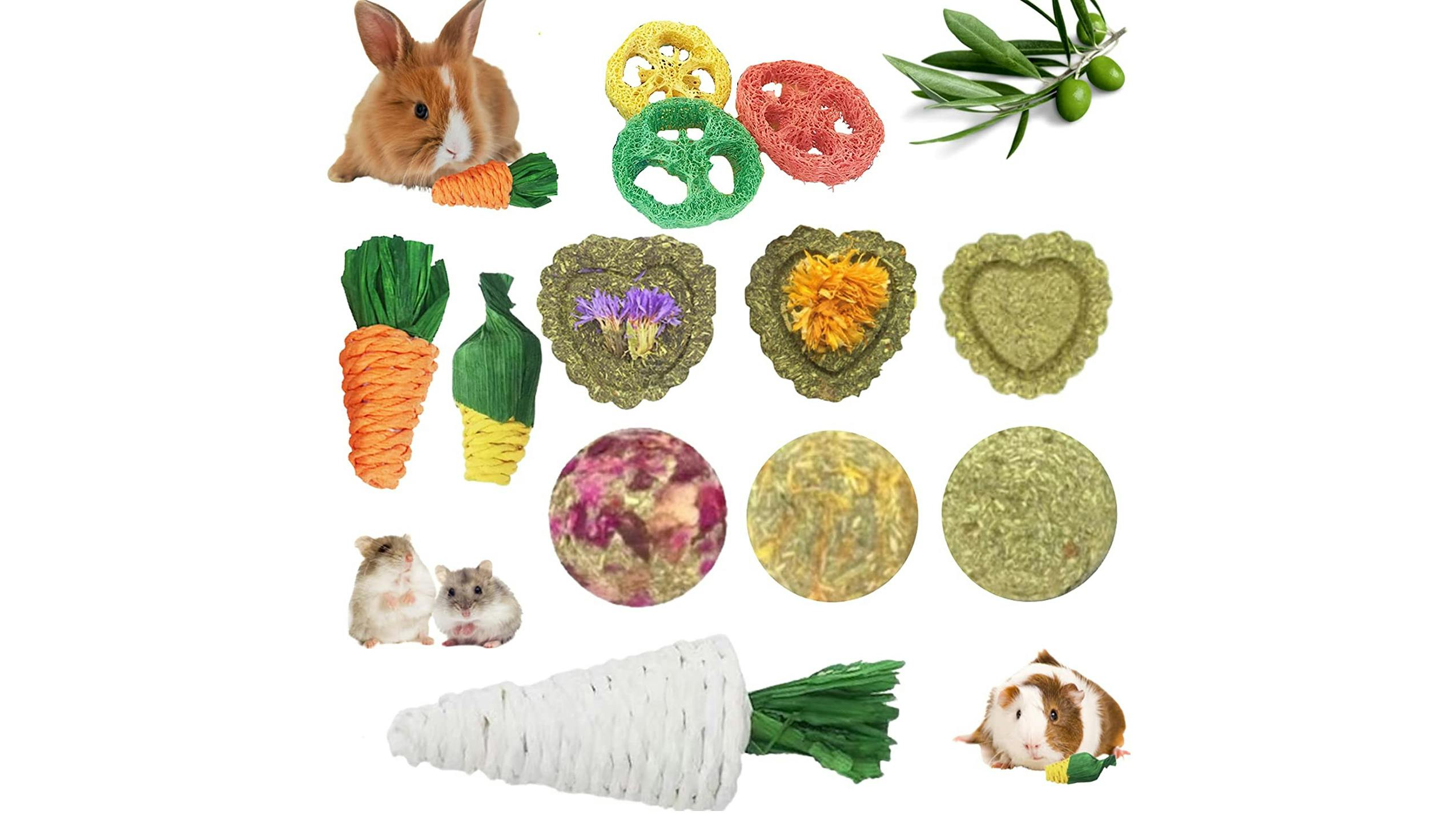 Various rabbit chew toys shaped as veggies.
