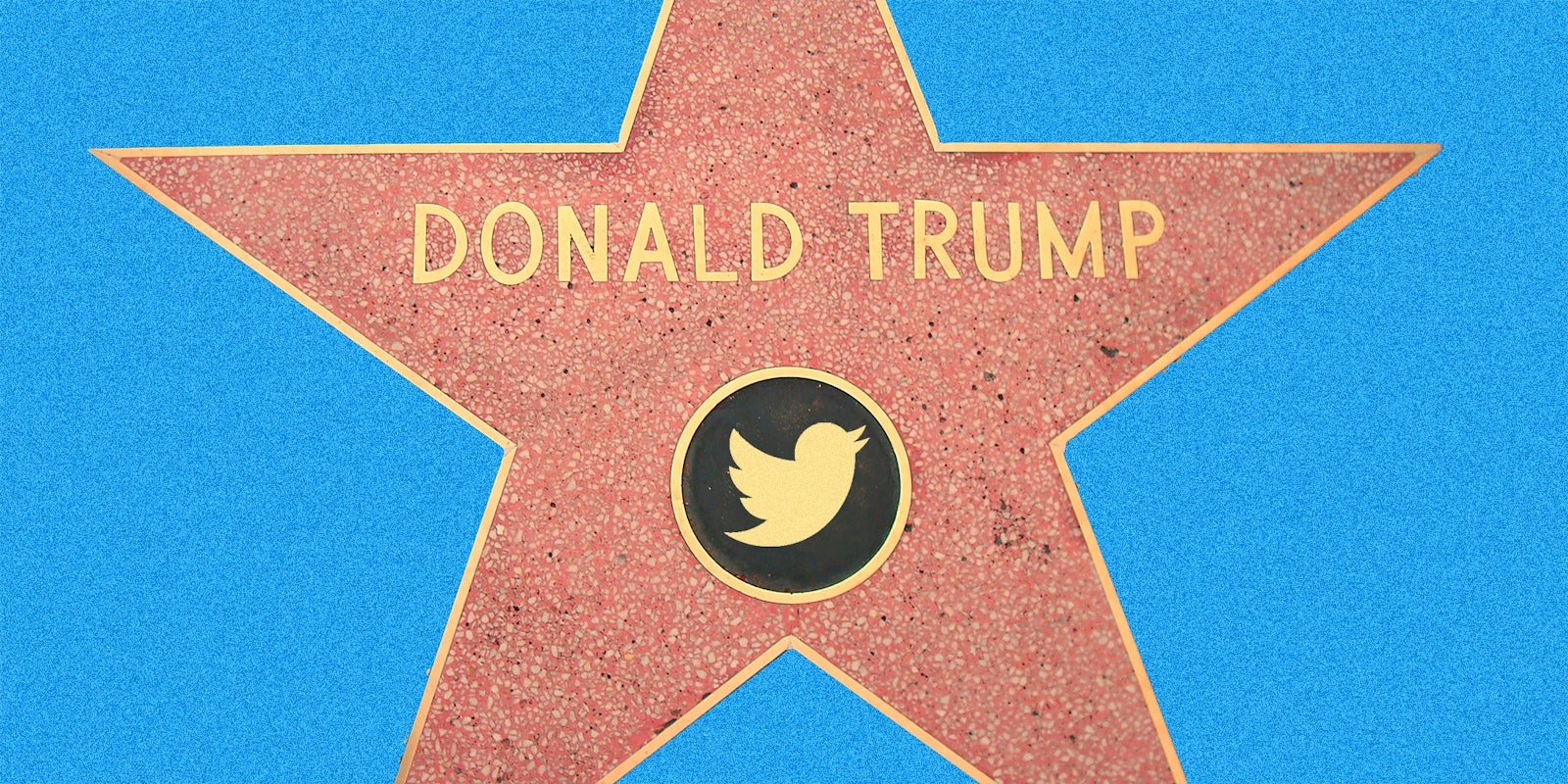 A Hollywood Walk of Fame star.