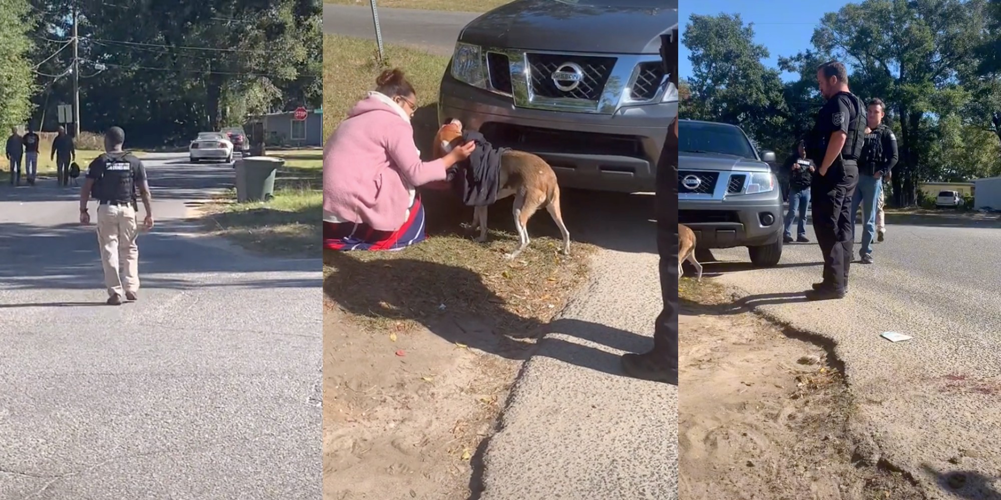 Heartbreaking TikTok Shows Dog After Being Shot By Sheriff's Deputy - Tips Loves