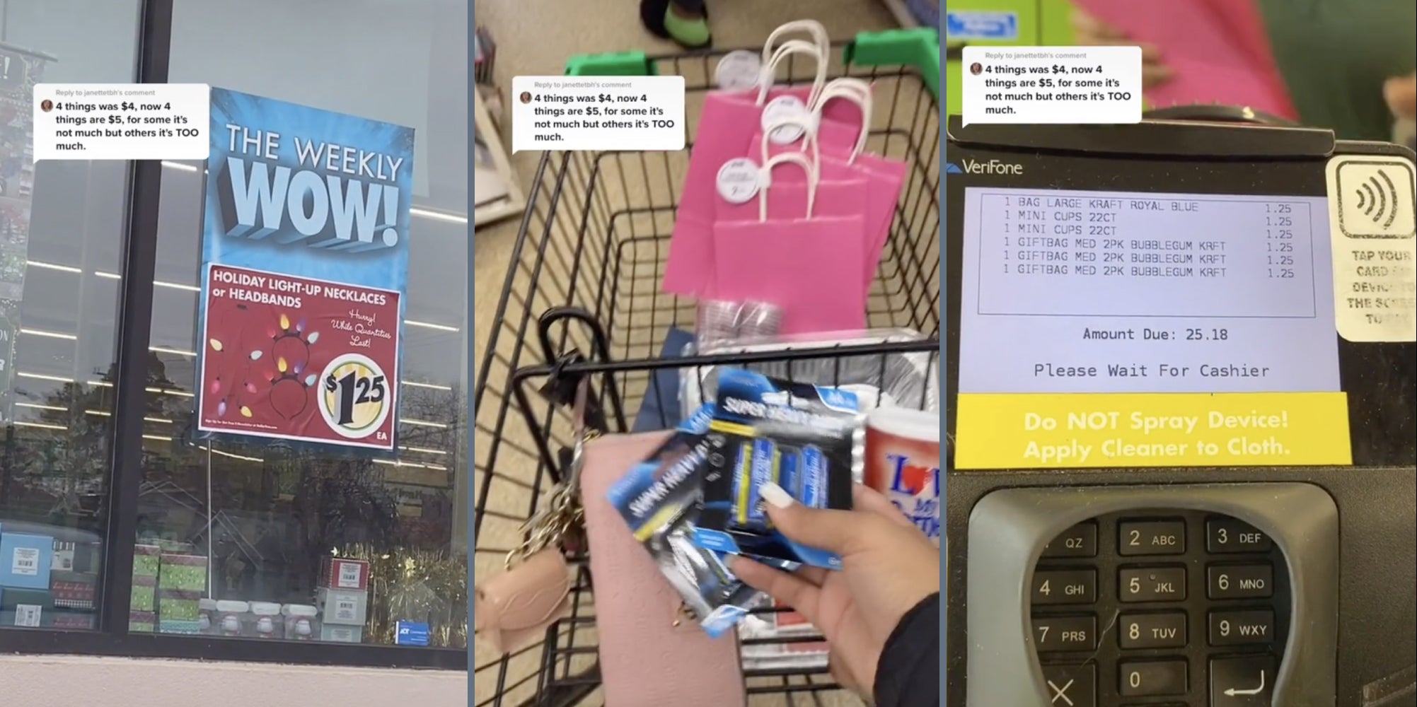 TikToker Shows How Dollar Tree Price Raise Hurts Patrons