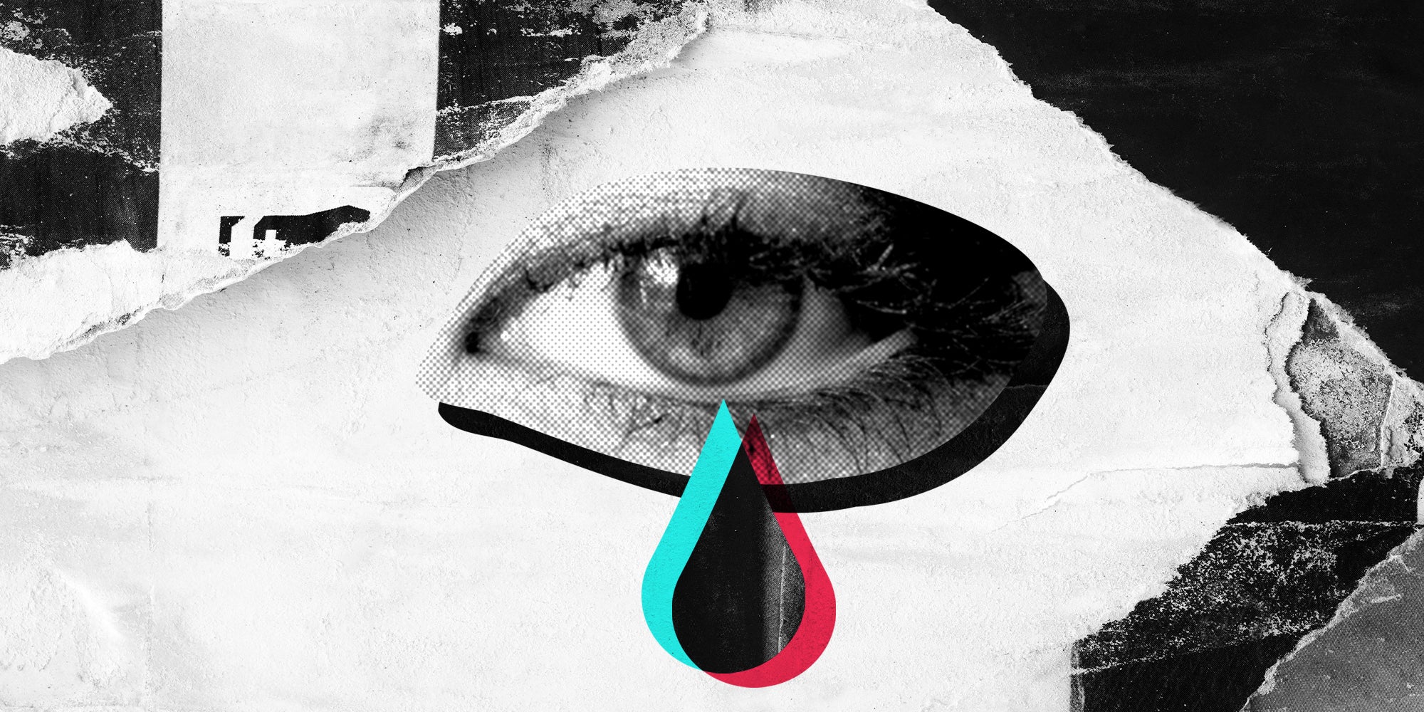 Homepage article image