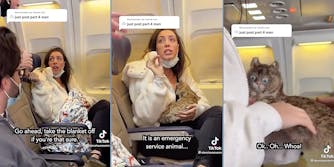 A woman holding a fake cat on a plane.