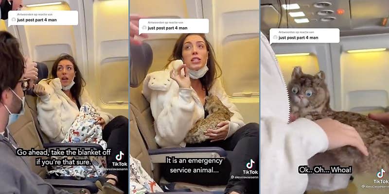 A woman holding a fake cat on a plane.