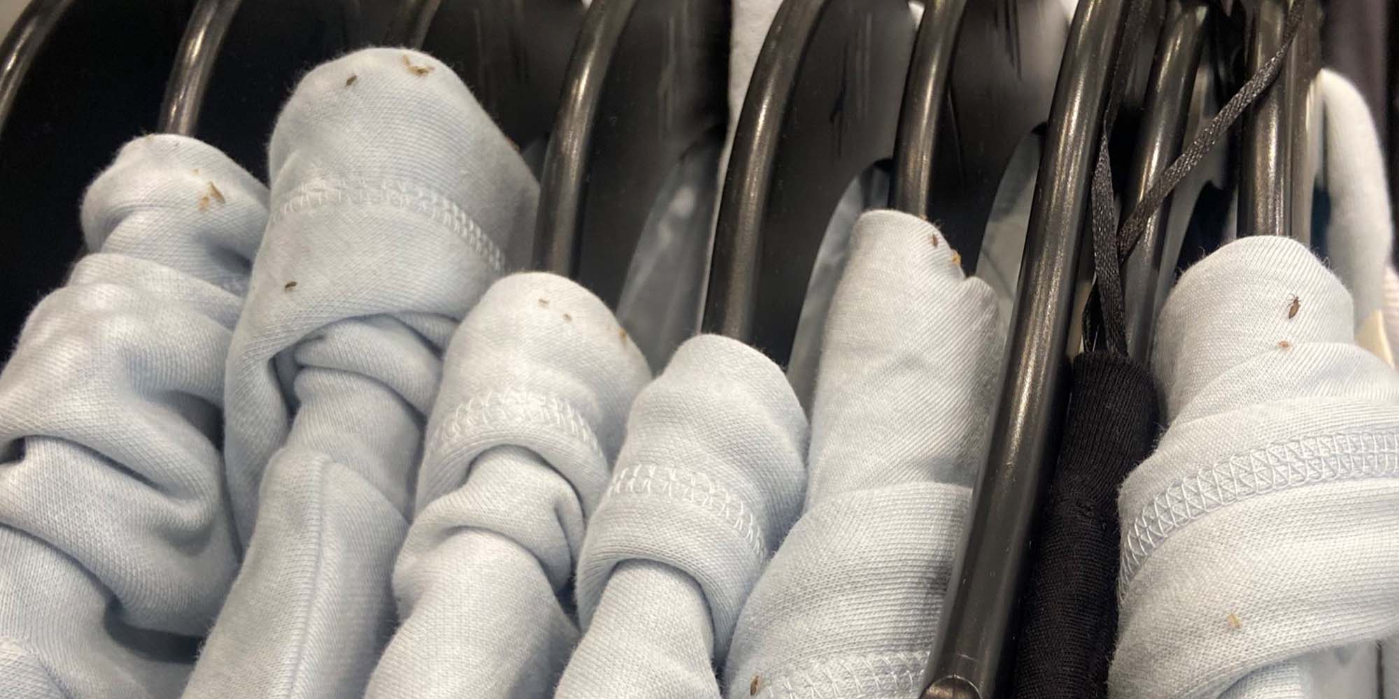 An employee tweeted a picture of lice on H&M hoodies.