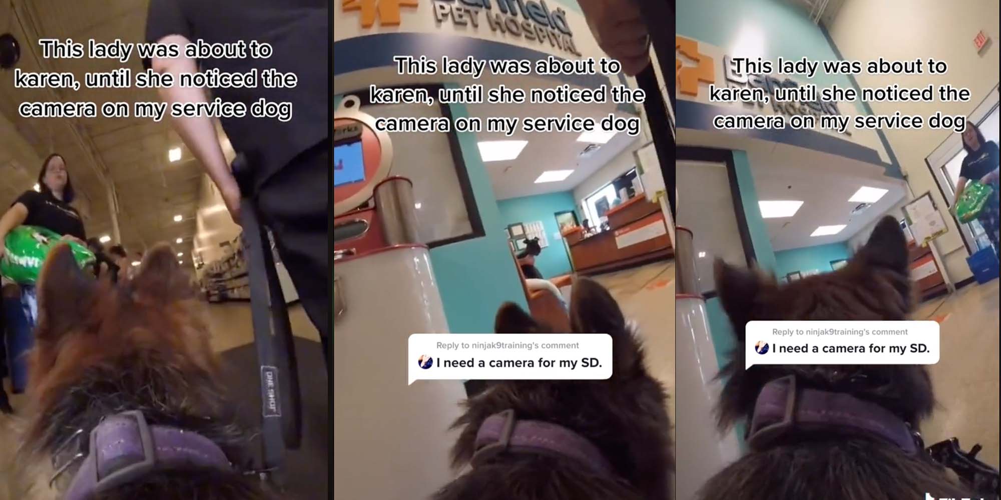 A TikTok shows a woman reacting to a TikToker's service dog.