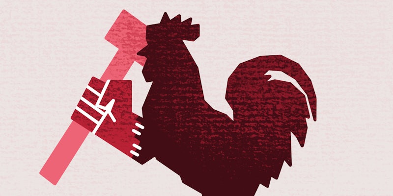 illustration of the proud boys' rooster with a black hammer fist surgically attached to its arm