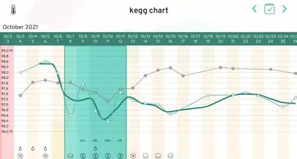 trying-for-a-baby-set-yourself-up-for-success-with-the-kegg-fertility