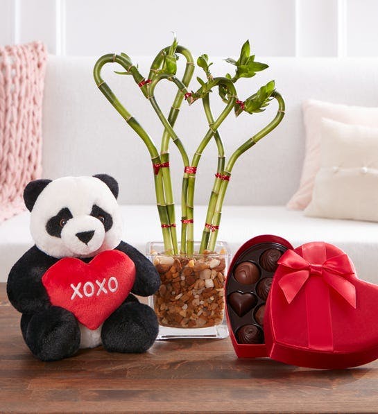 Sweet Heart Bamboo 1-800-flowers