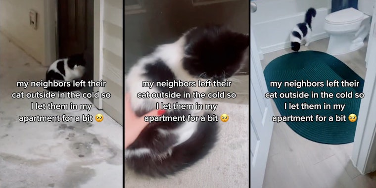 cat outside door (l) hand petting cat (c) cat in bathroom (r) all with caption 'my neighbors left their cat outside in the cold so I let them in my apartment for a bit'
