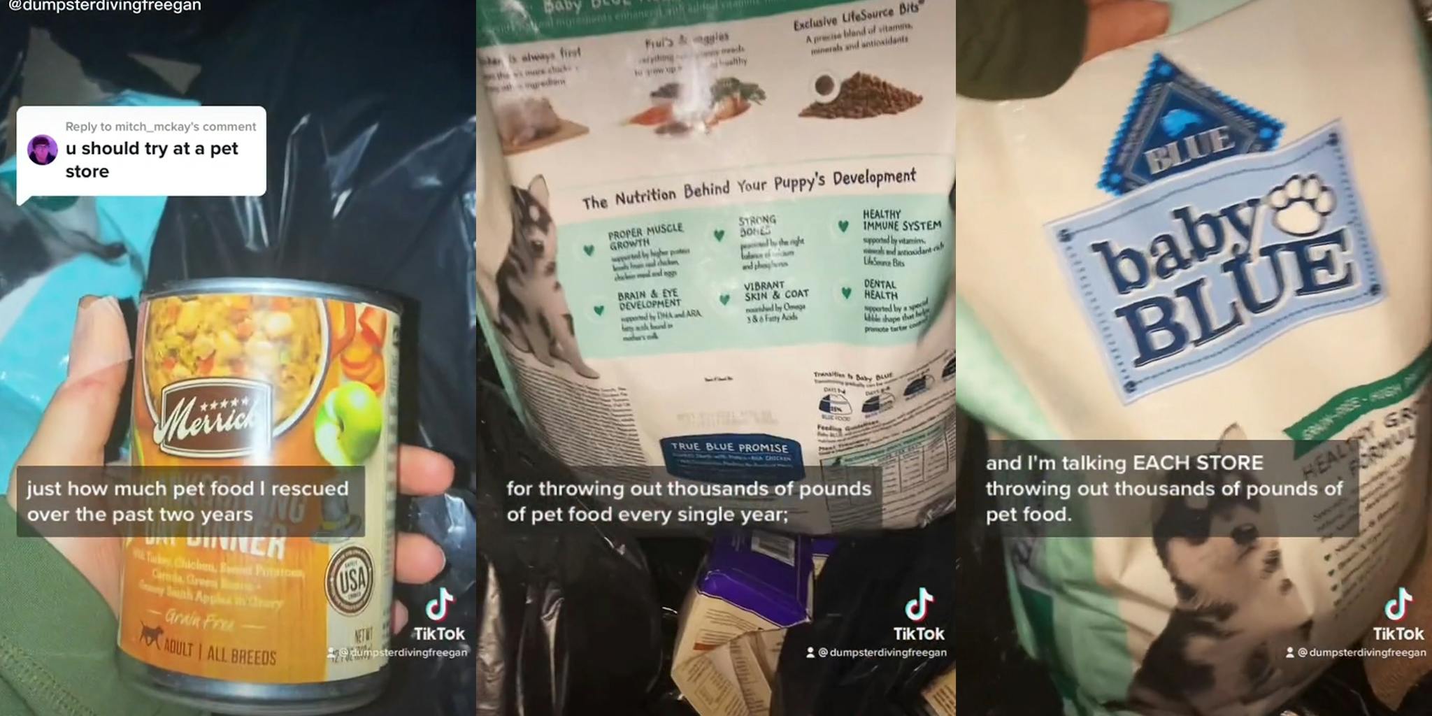‘It’s actually kind of insane just how much pet food I’ve rescued’: TikToker reveals how much pet food she found while dumpster diving in viral video