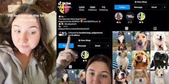 TikToker criticizes Instagram account @puppymelons, which posts photos of dogs and women.
