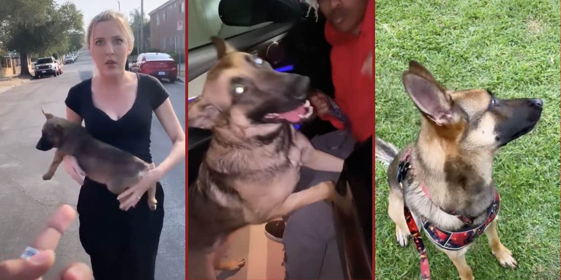 Man Shares Update a Year After a ‘Karen’ Threw Her Dog at Him