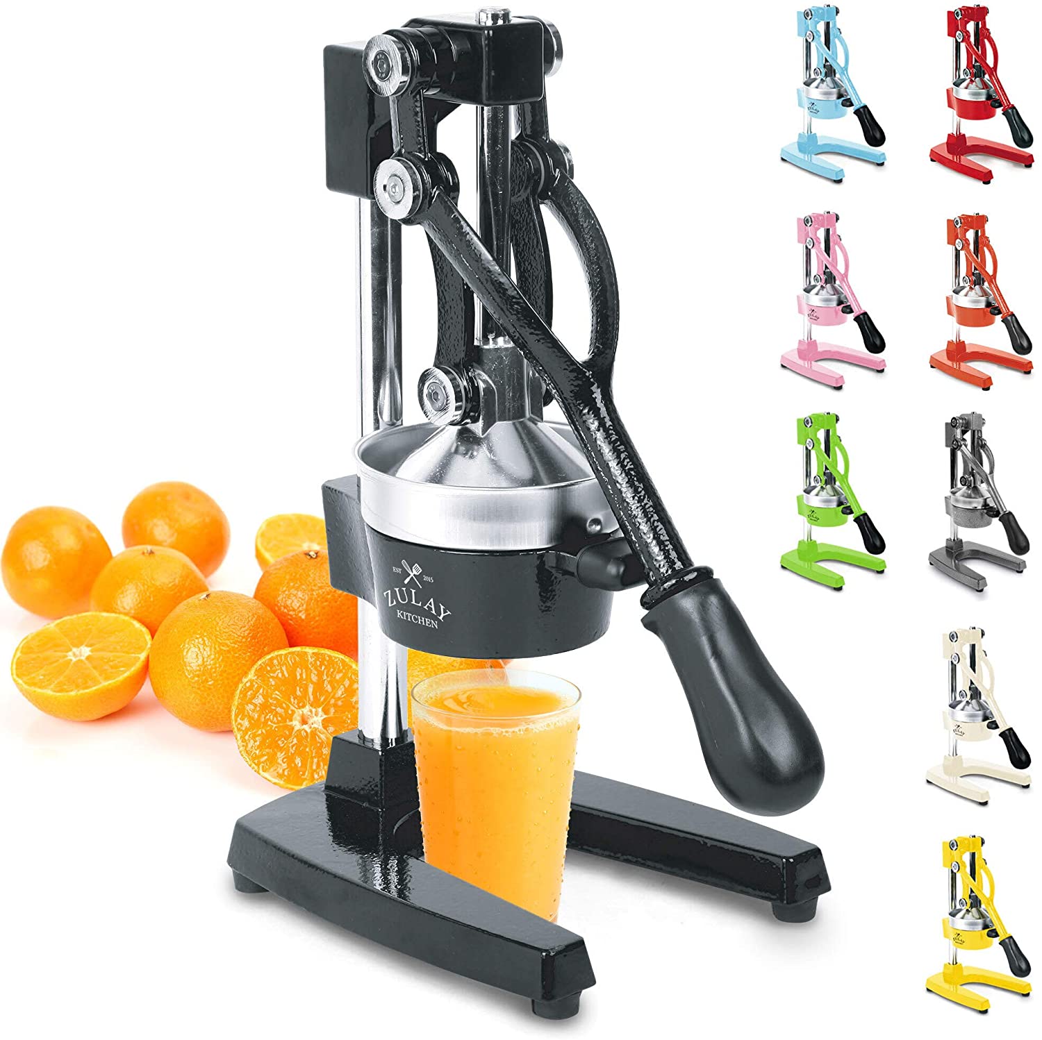 Professional Citrus Juicer