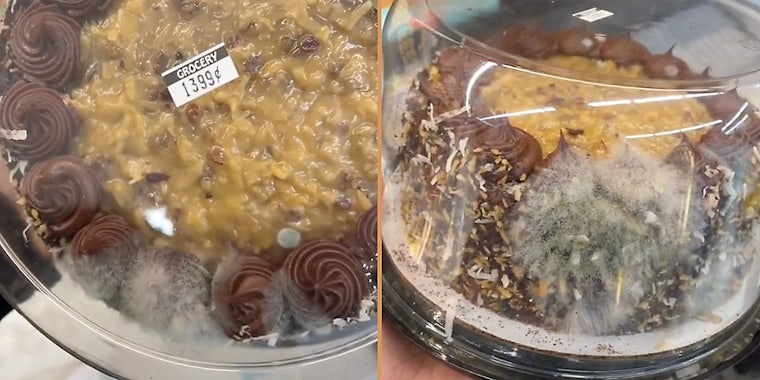 A cake with mold on it.