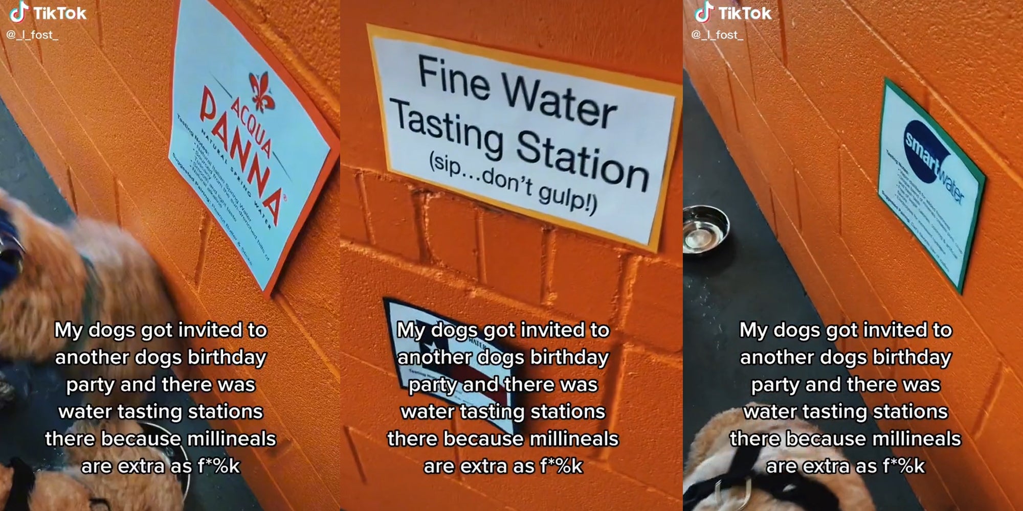 dog birthday water stations with caption 'my dogs got invited to another dogs birthday party and there was water tasting stations there because millineals are extra as f*%k'