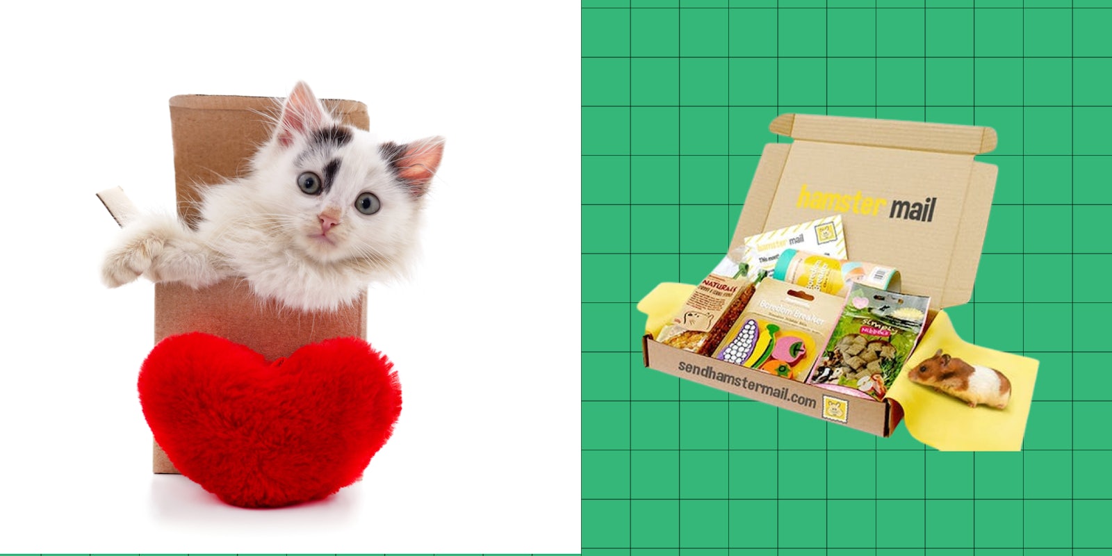 best pet subscription boxes for you fur babies