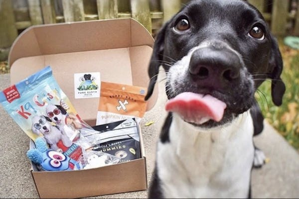 pure earth pets eco box, environmentally sustainable pet box