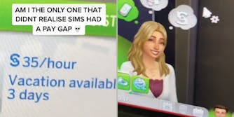 'Am I the only one that didn't realise Sims had a pay gap'