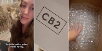 woman with cat (l) CB2 logo (m) hand reaching into a package (r)