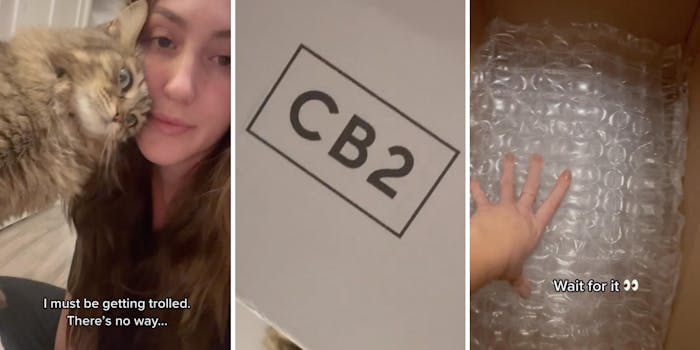 woman with cat (l) CB2 logo (m) hand reaching into a package (r)